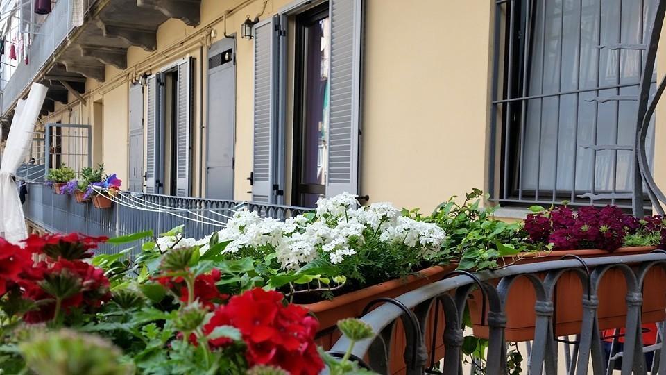 Al Piperita Bed & Breakfast Торино Екстериор снимка